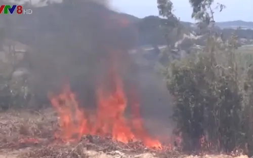 UBND tỉnh Quảng Ngãi yêu cầu làm rõ các vụ cháy rừng liên tiếp tại Bình Sơn