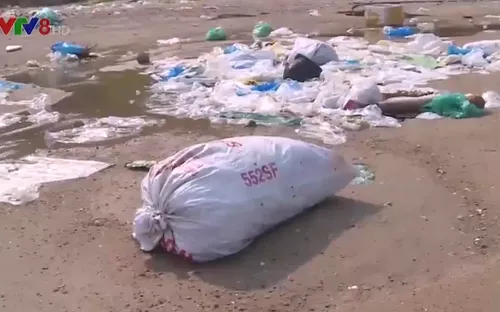 Rác thải nhựa dồn ứ vùng ven bờ Vịnh Vũng Rô