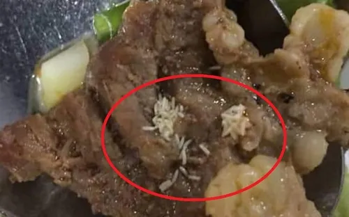 Nghệ An: Xử lý vụ suất ăn trưa của công nhân có giòi