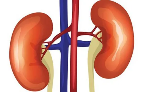 Chủ động phòng tránh suy thận