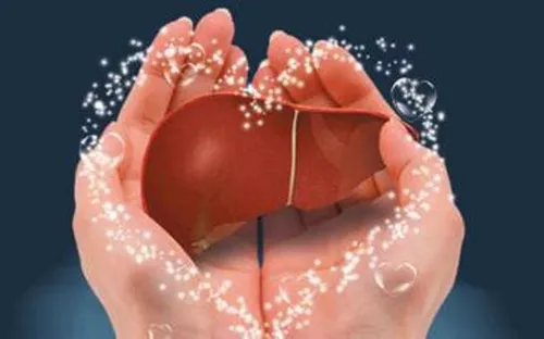 Tìm hiểu một số thực phẩm tốt và không tốt cho gan