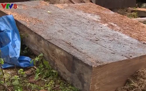 Vi phạm lâm luật diễn biến phức tạp tại Quảng Nam