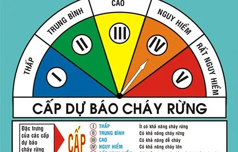 Nguy cơ cháy rừng cao ở Trung bộ do nắng nóng