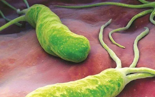 Thực phẩm giúp "triệt hạ" vi khuẩn HP