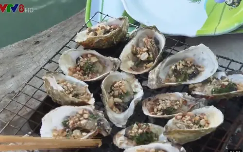 Người nuôi hàu Lăng Cô làm du lịch