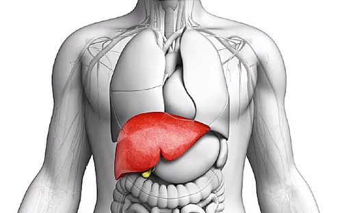 Những cách giải độc cơ thể có thể bạn chưa biết