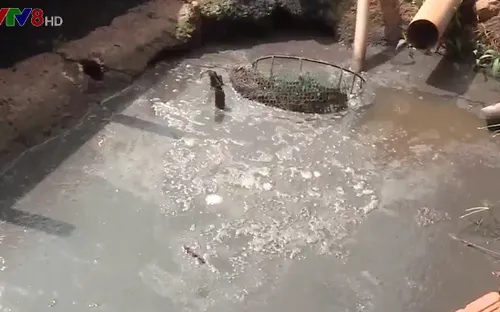 Đắk Lắk: Ô nhiễm môi trường từ lò mổ gia súc trong khu dân cư