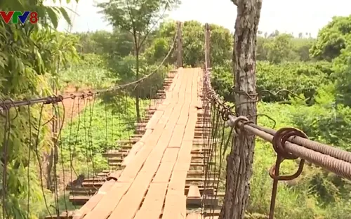 Nguy hiểm từ những cây cầu treo xuống cấp