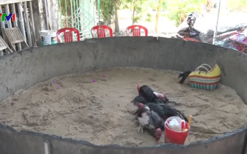 Bắt quả tang nhiều vụ đánh bạc tại Phú Yên