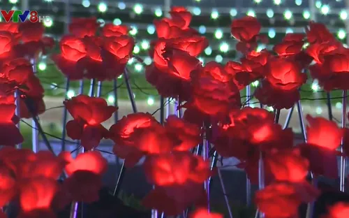 Đến với Lễ hội ánh sáng tại Nha Trang