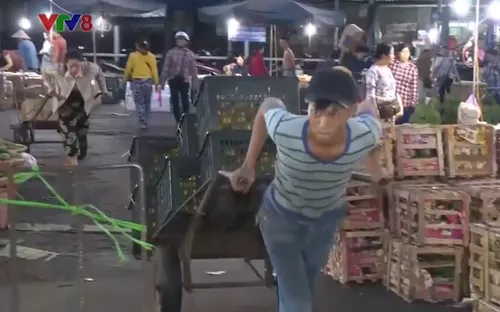 Lao động tự do - Những nguy cơ, rủi ro tiềm ẩn