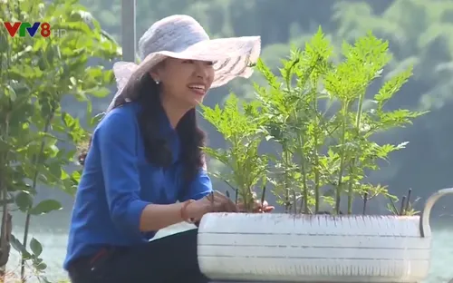 Đổi thay diện mạo làng quê từ phong trào “Ngày chủ nhật xanh”