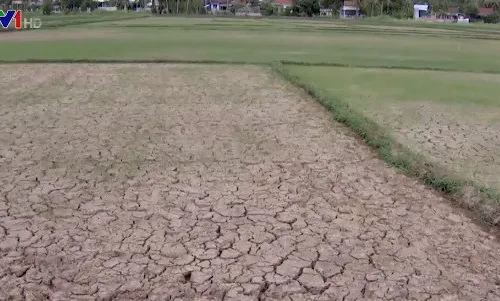 Thiếu nước tưới đầu vụ Hè Thu tại các hồ chứa khu vực miền Trung