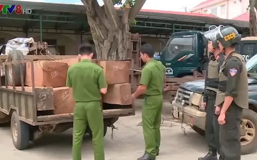Đắk Lắk truy bắt nhóm đối tượng vận chuyển gỗ trái phép