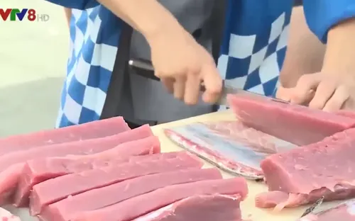 Quảng bá cá ngừ đại dương đến với du khách