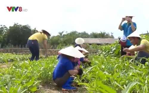 Mô hình du lịch trải nghiệm trang trại