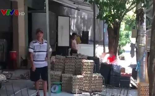 Hiểm họa từ các kho trứng gia cầm trong lòng thành phố
