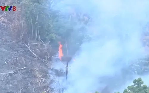 Quảng Trị: Nguy cơ cháy rừng cao do nắng nóng quay trở lại