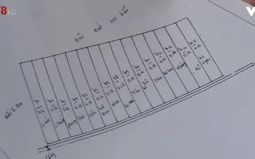 Thừa Thiên Huế: Xử lý việc cấp đất rừng sai qui định