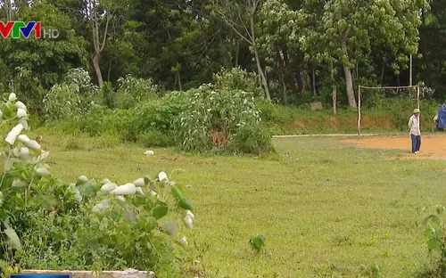 Vì sao dự án tự phân lô bán nền nở rộ tại ngoại thành Hà Nội?