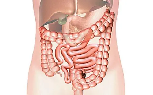 Dấu hiệu nhận biết hệ tiêu hóa đang có vấn đề