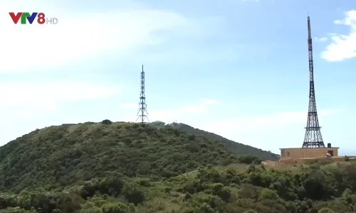 Đà Nẵng bảo đảm các phương án chống cháy rừng tại các khu du lịch