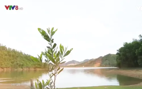 Khoảng xanh trong lòng phố