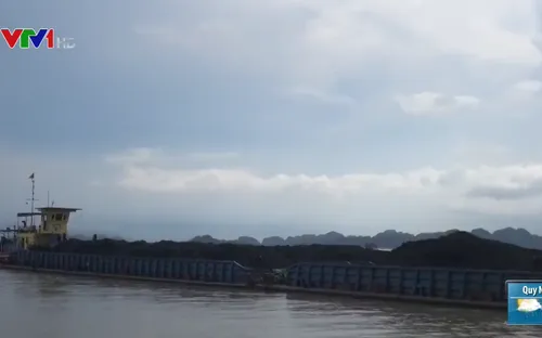 Cảnh sát biển tăng cường ngăn chặn tàu cá vi phạm