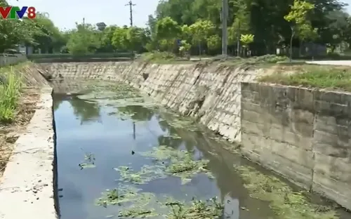 Quảng Ngãi: Xác định nguyên nhân ô nhiễm nặng tuyến kênh Tư Nghĩa