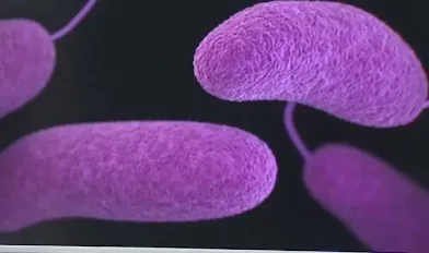 Người đàn ông Mỹ may mắn thoát chết sau khi nhiễm vi khuẩn ăn thịt