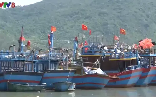 Ngư dân gặp khó khăn vì phải thay đổi ngư trường đánh bắt