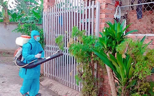 Đồng Nai: Một phụ nữ tử vong do sốt xuất huyết