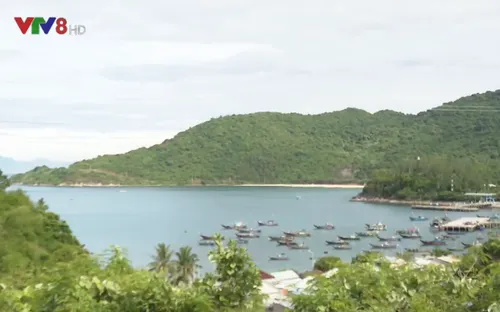 Người dân Cù Lao Chàm tự bảo vệ rừng