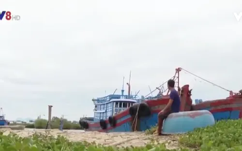 Quảng Ngãi: Gia tăng tình trạng ngư dân nợ quá hạn vốn vay tàu 67