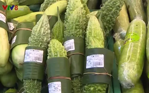 Lan tỏa cuộc chiến chống rác thải nhựa