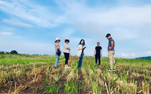 Chuyện hậu trường giờ mới kể về VTV True Concert