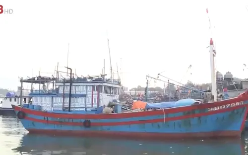 Quảng Nam khó khăn truy xuất nguồn gốc hải sản