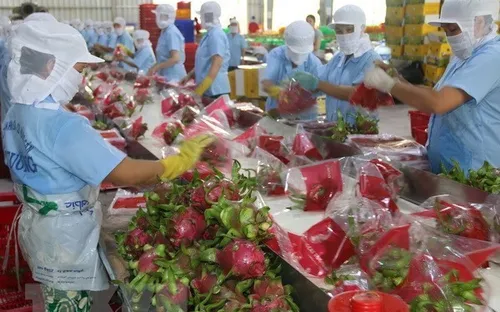 Trung Quốc siết chặt các quy định nhập khẩu