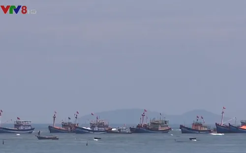 Kiểm ngư đồng hành với ngư dân phòng chống đánh bắt trái phép