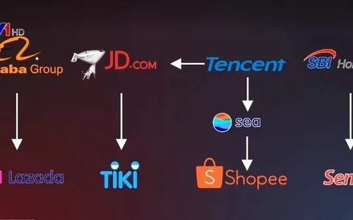 Thực hư cổ đông nước ngoài chi phối DN thương mại điện tử Việt