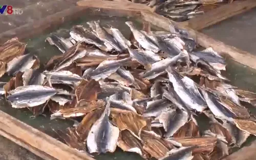 Hàng ngàn tấn cá tồn kho - Làng nghề điêu đứng