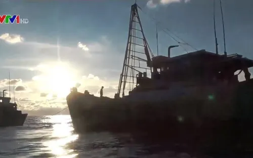 Lực lượng kiểm ngư tăng cường hỗ trợ ngư dân