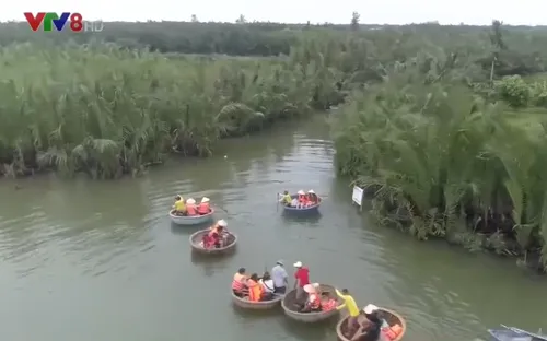 Xâm hại Rừng dừa Cẩm Thanh