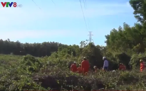 Quảng Trị giải tỏa hành lang an toàn lưới điện cao thế