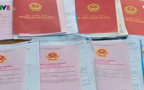 Đắk Nông phát hiện nhiều sổ đỏ bị làm giả tinh vi