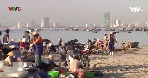 Nhếch nhác chợ cóc tại Đà Nẵng