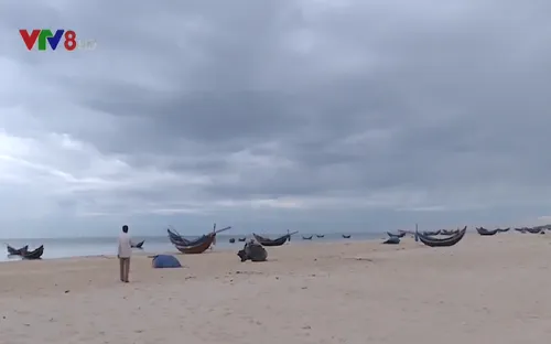 Quảng Trị tiếp tục hỗ trợ ngư dân bám biển