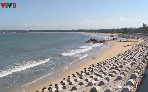 Quảng Nam đầu tư 30 tỷ đồng xây kè khẩn cấp bảo vệ xã Đảo Tam Hải