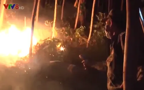 Phú Yên dập tắt vụ cháy rừng trong đêm