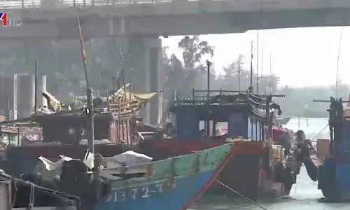 Nợ tiền đóng tàu cá, ngư dân bị ngân hàng kiện